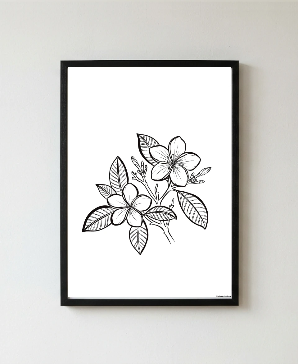 Campaka Rekhachitra Campaka flower floral line art