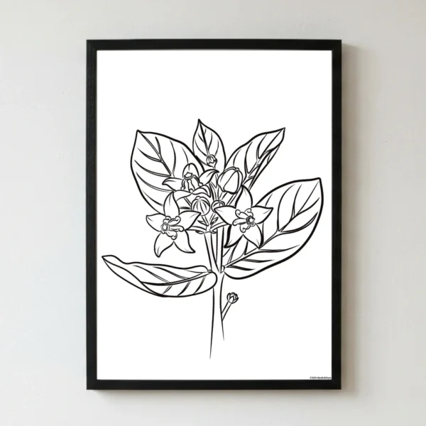Mandarah Rekhachitra Mandarah flower floral line art